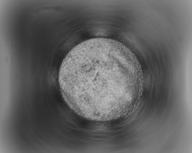 X0000091650175200709201132