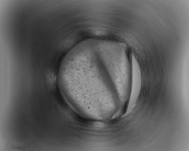 X0000091650176200709201132