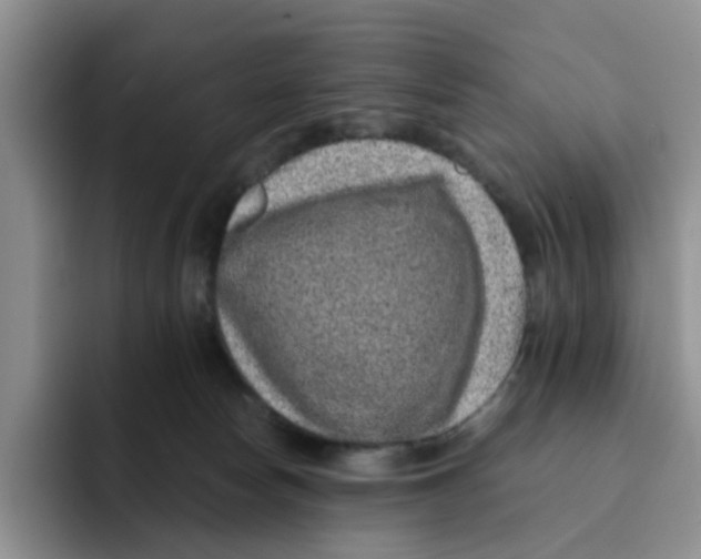 X0000091650178200709201132