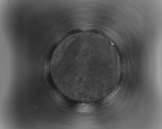 X0000091650180200709201133