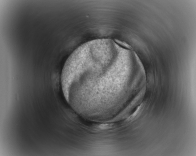 X0000091650184200709201133