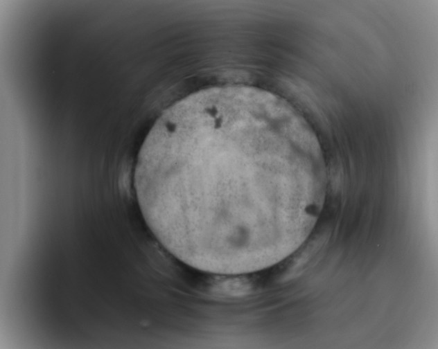 X0000091650185200709201133