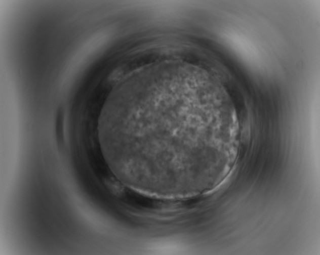 X0000091650191200709201133