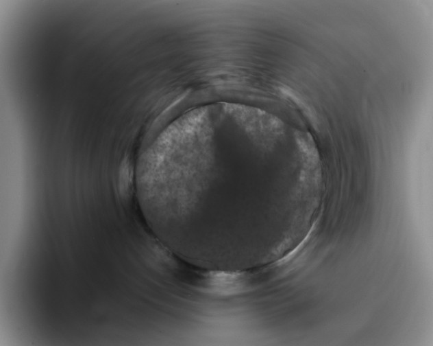 X0000091650192200709201133