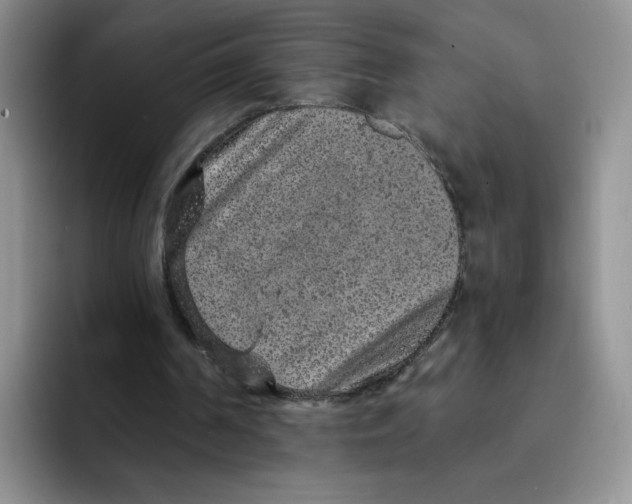 X0000091650194200709201132