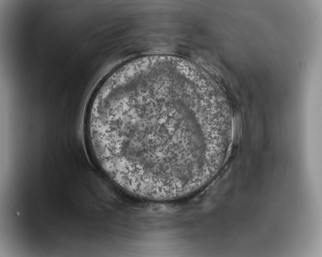 X0000091650195200709201132