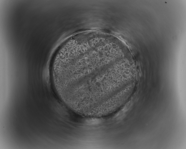 X0000091650198200709201132