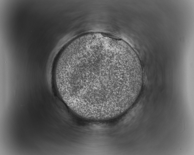 X0000091650199200709201132