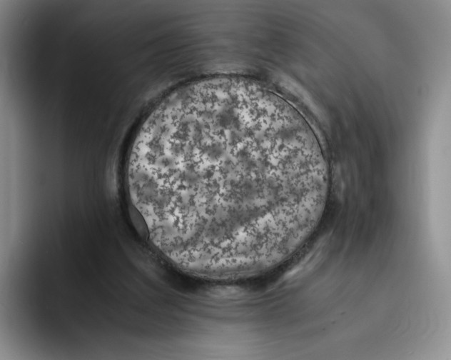 X0000091650203200709201132