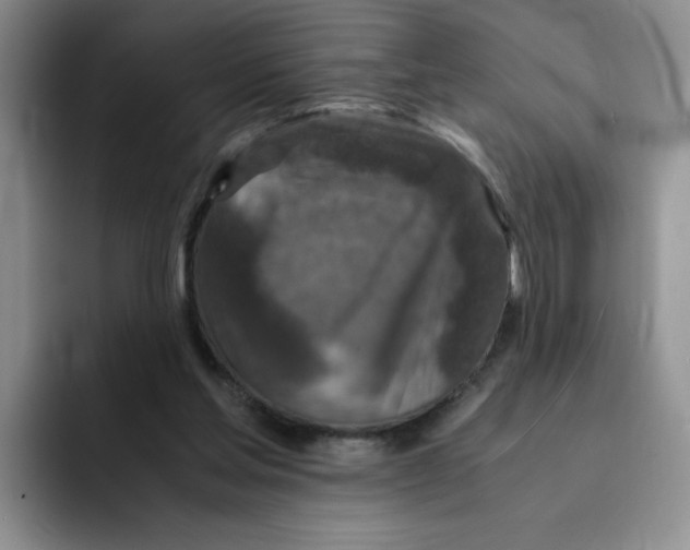 X0000091650205200709201132