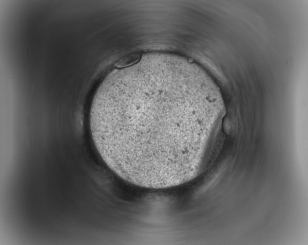 X0000091650207200709201132