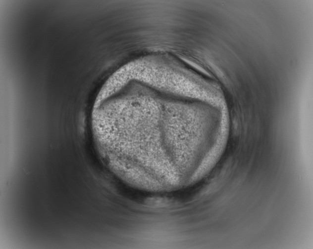 X0000091650211200709201132