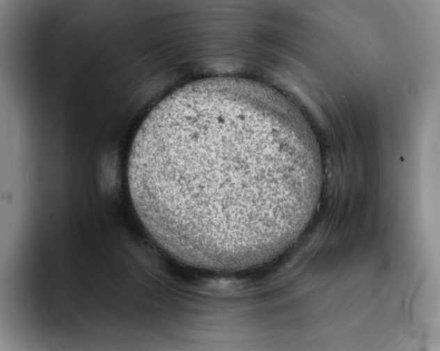 X0000091650212200709201132