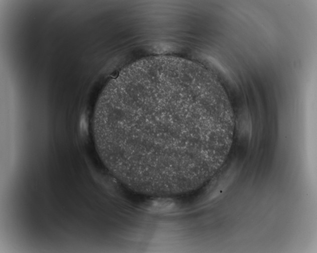 X0000091650214200709201132