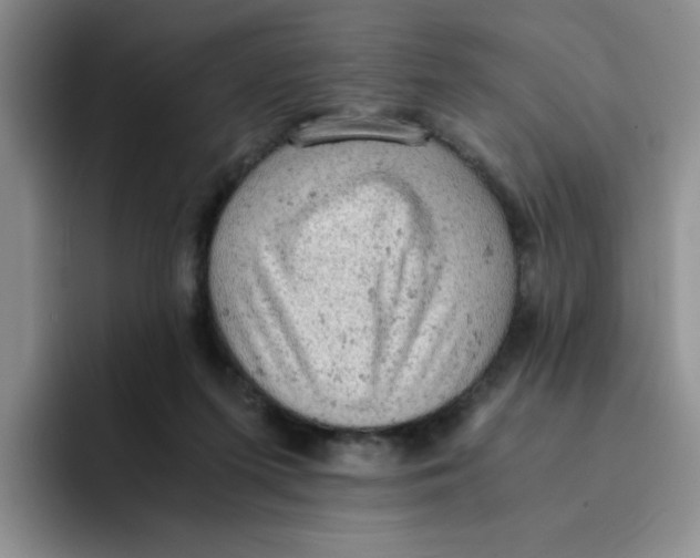 X0000091650215200709201132