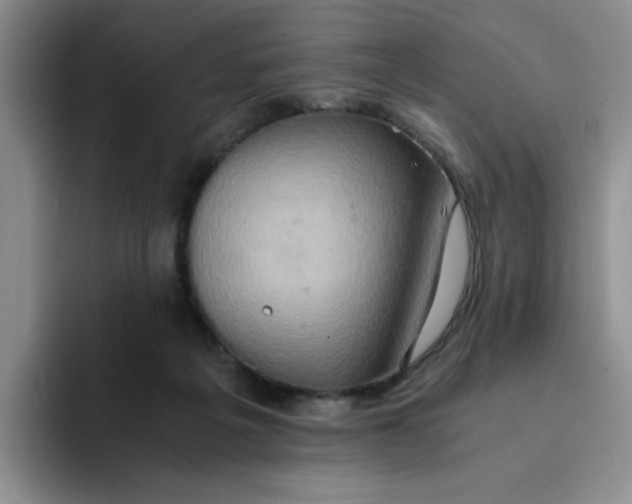 X0000091650217200709201132