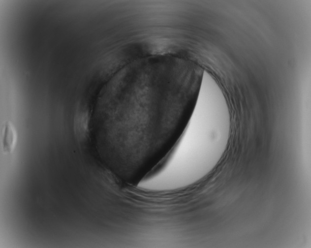 X0000091650219200709201132