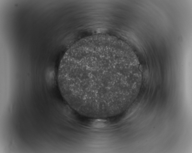 X0000091650222200709201132