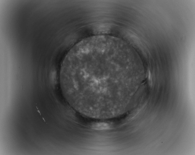 X0000091650224200709201132