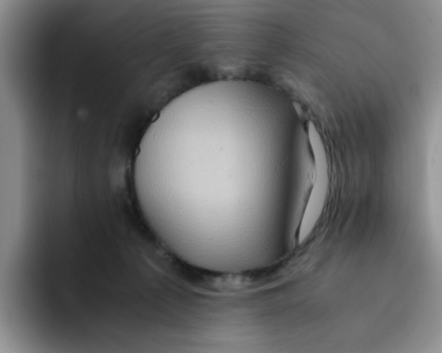 X0000091650225200709201132