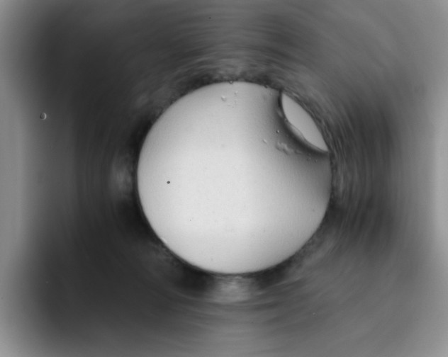 X0000091650226200709201132