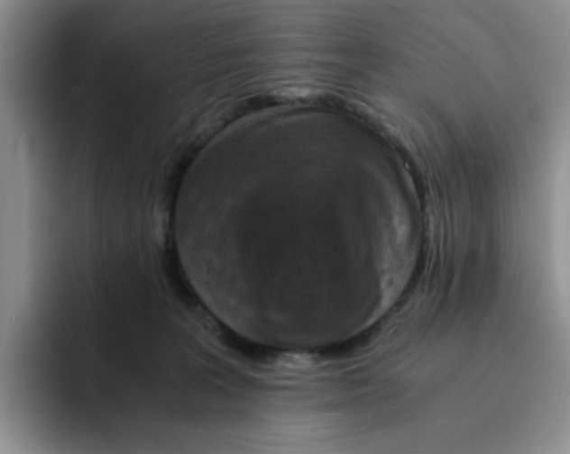 X0000091650227200709201132