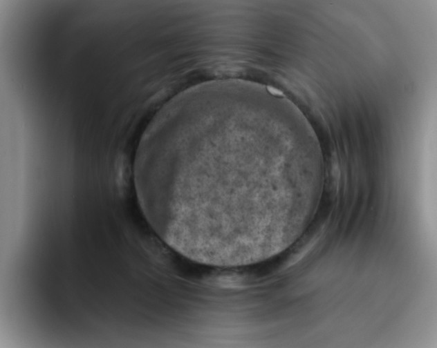 X0000091650228200709201132