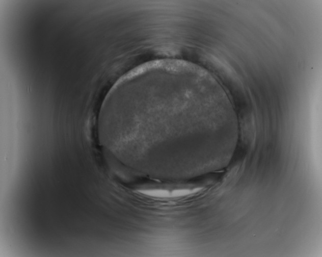 X0000091650229200709201132