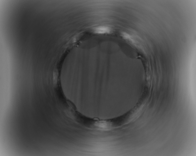 X0000091650231200709201132