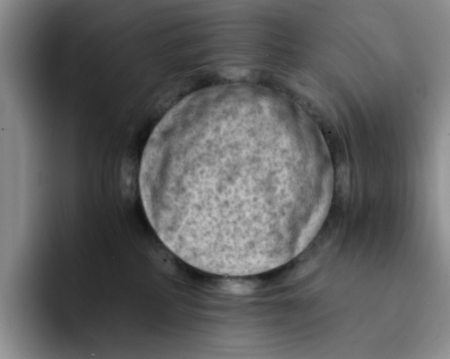 X0000091650234200709201132