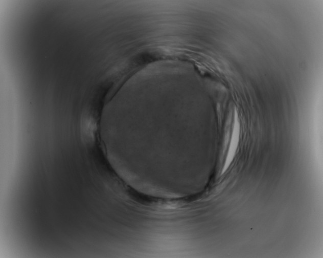 X0000091650235200709201132