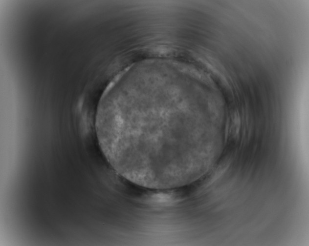 X0000091650236200709201132