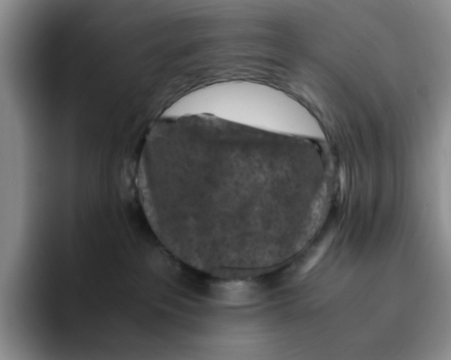 X0000091650237200709201132