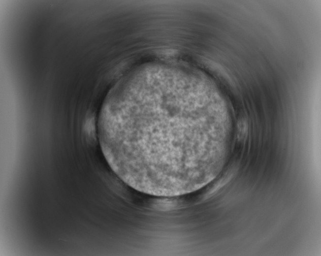 X0000091650238200709201132