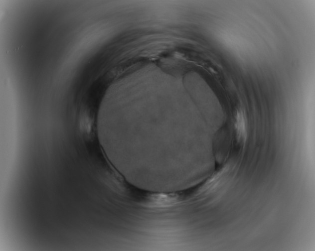 X0000091650239200709201132