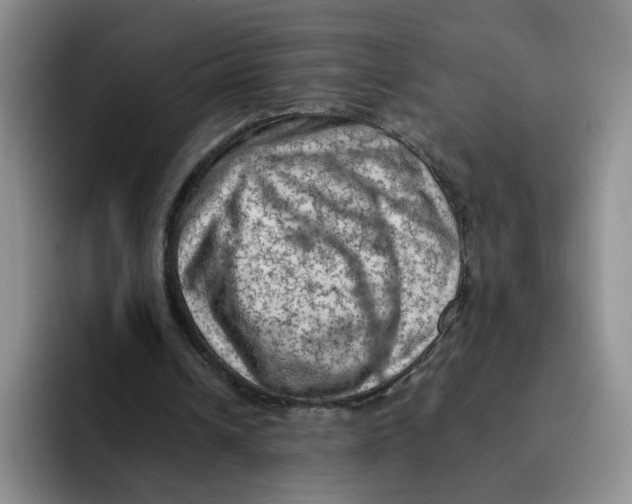 X0000091650242200709201131