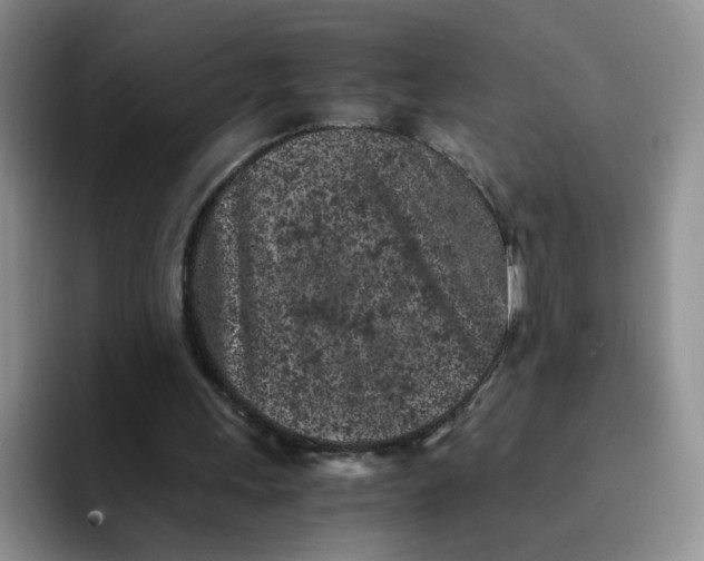 X0000091650243200709201131