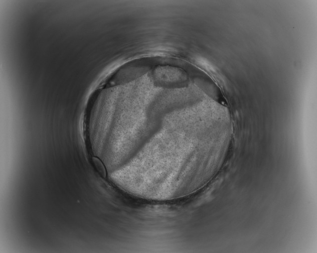 X0000091650244200709201131