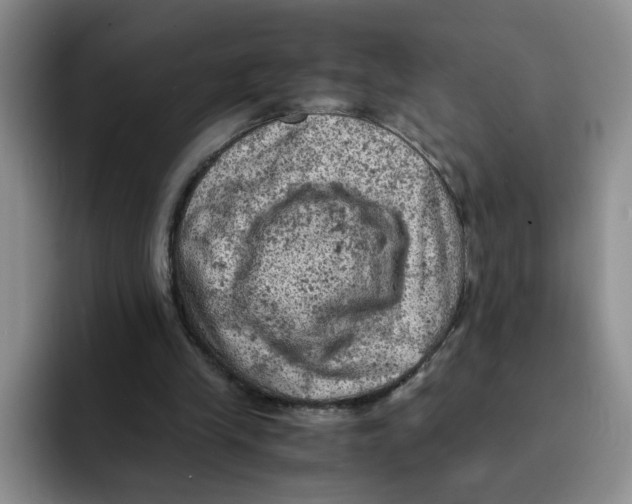 X0000091650245200709201131