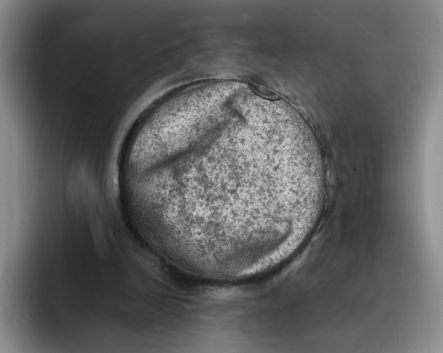 X0000091650246200709201131