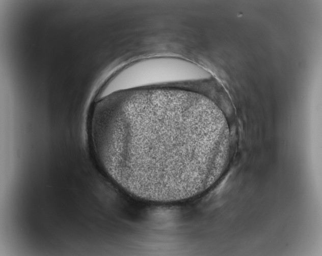 X0000091650248200709201131