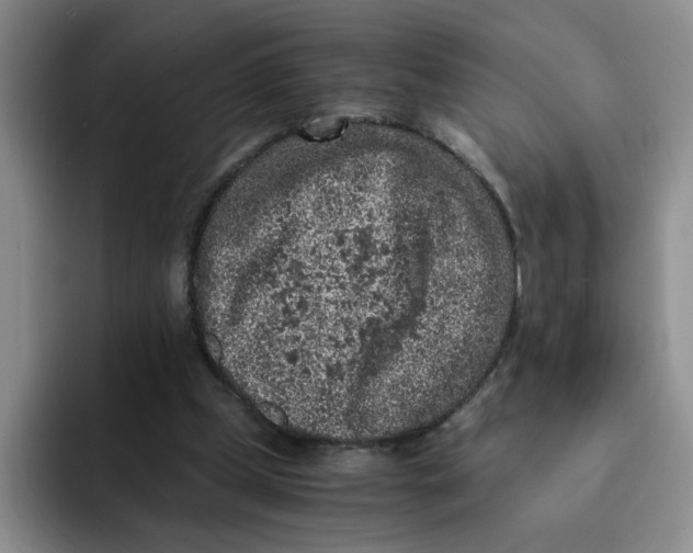 X0000091650249200709201131