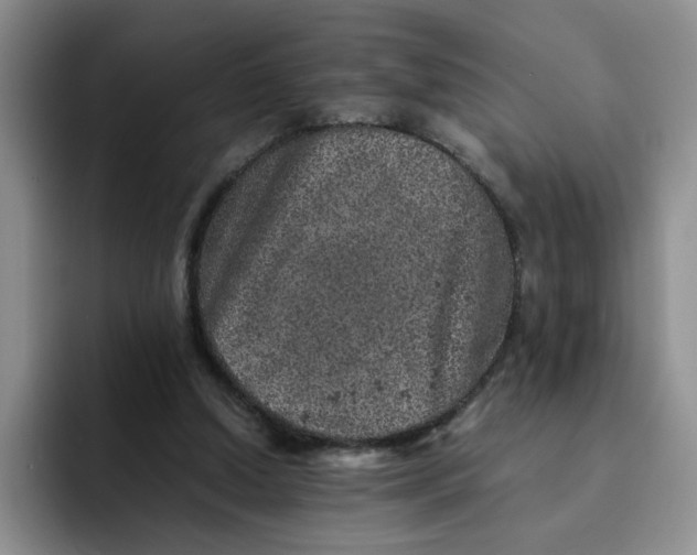 X0000091650250200709201131