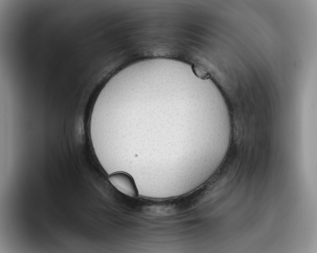 X0000091650251200709201131