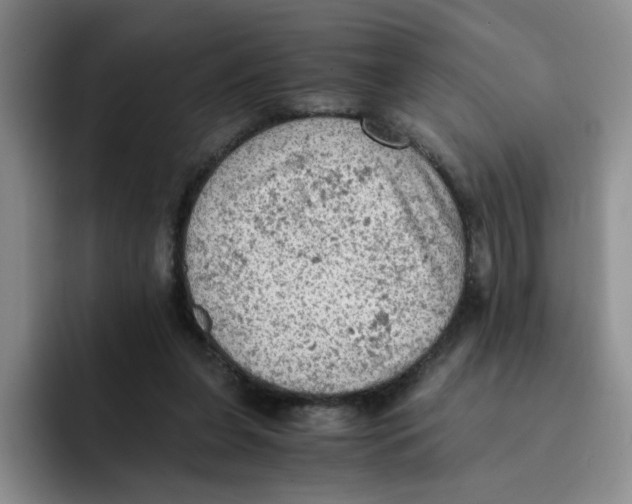 X0000091650255200709201131