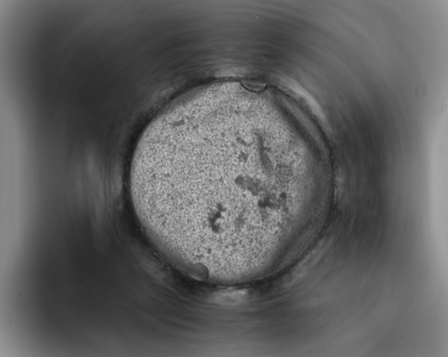 X0000091650257200709201131