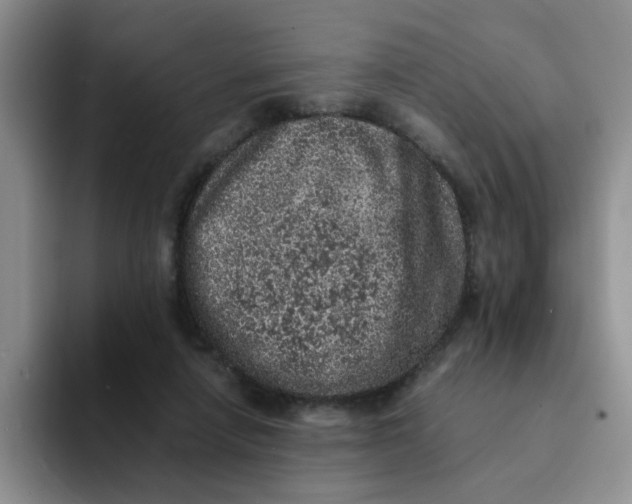 X0000091650258200709201131