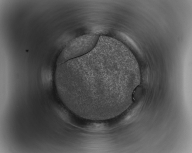 X0000091650260200709201131