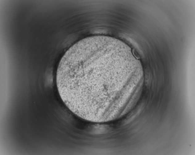 X0000091650261200709201131