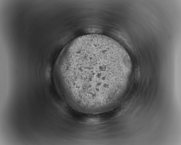 X0000091650263200709201131